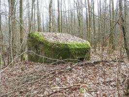 Ligne Maginot - SCHEIDWALD 10 - (Blockhaus pour arme infanterie) - La façade de tir.