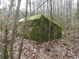 Ligne Maginot - SCHEIDWALD 10 - (Blockhaus pour arme infanterie) - L'arrière du blockhaus.