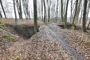 Ligne Maginot - BANHOLZ - (Abri) - 