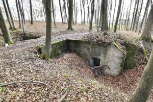 Ligne Maginot - BANHOLZ - (Abri) - 