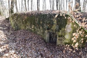 Ligne Maginot - RUETTENNENHOLZ - (Abri) - 