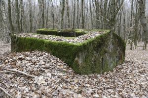 Ligne Maginot - SCHEIDWALD 11 - (Blockhaus pour arme infanterie) - 