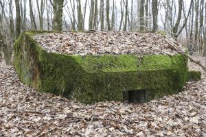 Ligne Maginot - SCHEIDWALD 11 - (Blockhaus pour arme infanterie) - 