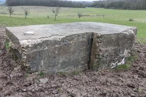 Ligne Maginot - DRIESCHBERG 3 - (Blockhaus pour arme infanterie) - Face arrière, entrée comblée