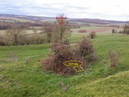 Ligne Maginot - T17BIS - (Cuve pour arme d'infanterie) - Vue Ouest.
L'emplacement se situe dans le bosquet. Le triangle rouge indique le clocher d'Avioth.
