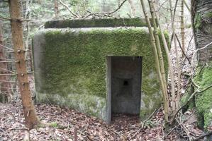Ligne Maginot - GEBIRGMATTEN SUD - (Blockhaus pour arme infanterie) - 