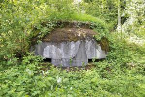 Ligne Maginot - COTE 811 - (Observatoire d'artillerie) - 
