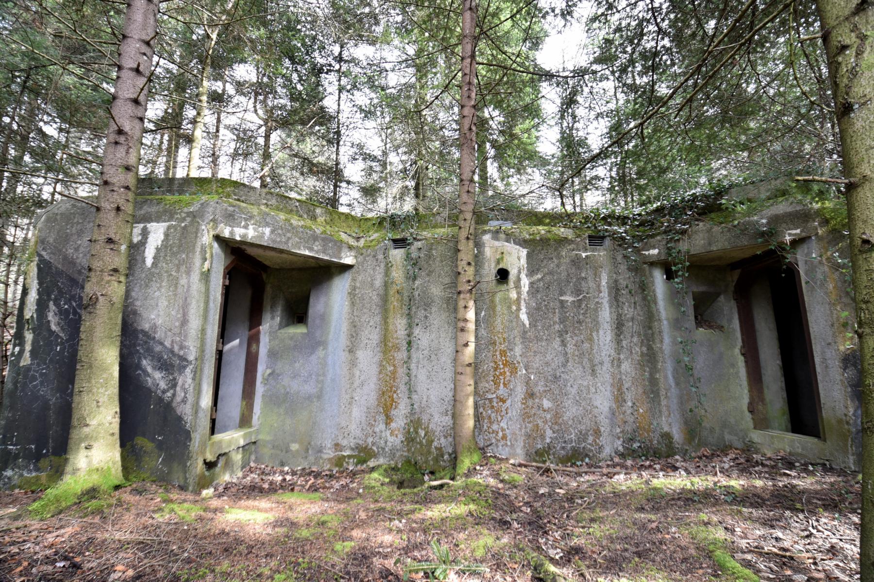 Ligne Maginot - STEINER (SOUS-QUARTIER EST) - (PC de Sous-Quartier) -  - Ludovic KNAPP