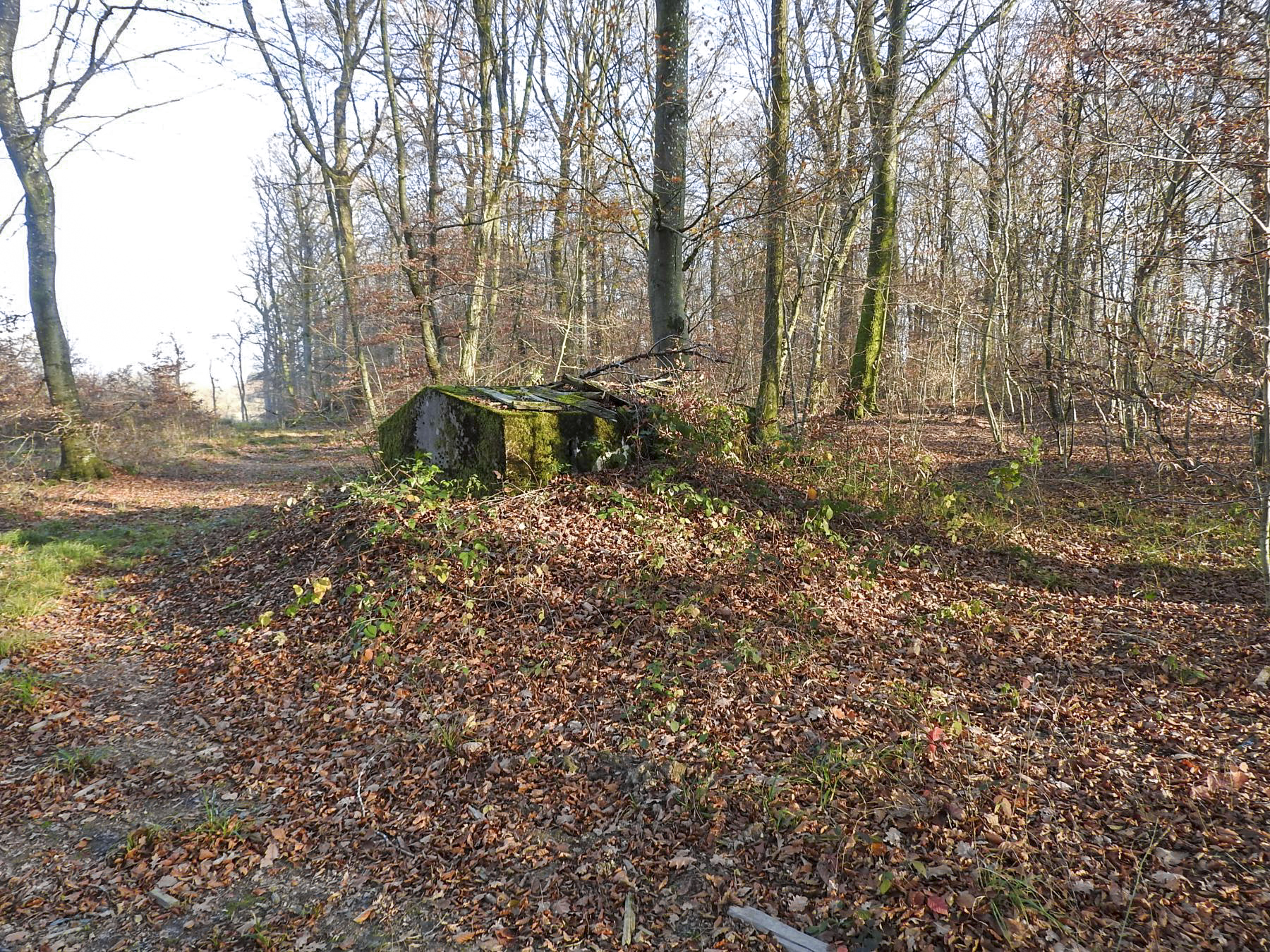 Ligne Maginot - SCHIRMENSTUDEN 6 - (Blockhaus pour arme infanterie) -  - STENGER Mathieu