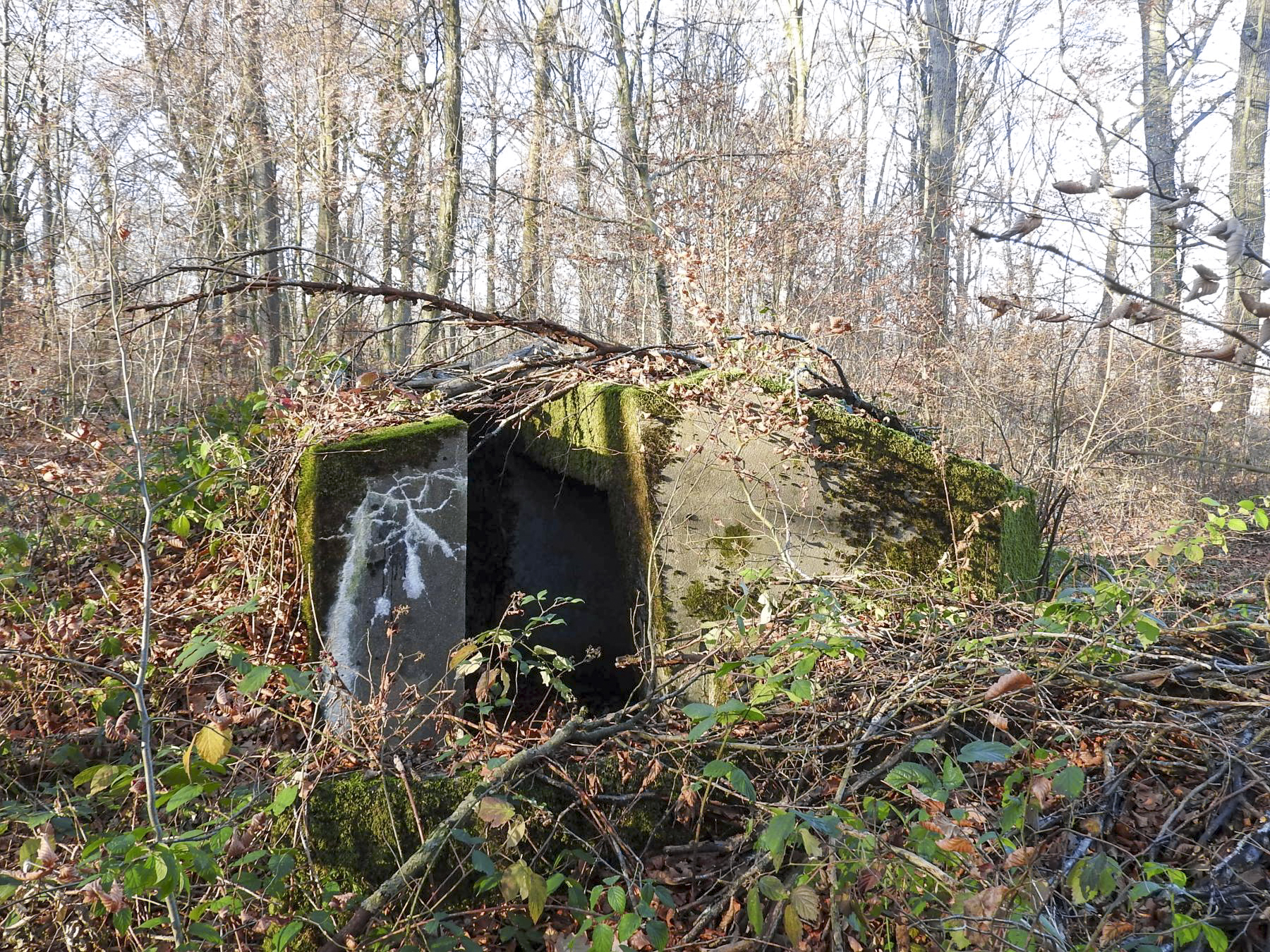 Ligne Maginot - SCHIRMENSTUDEN 6 - (Blockhaus pour arme infanterie) - L'accès au blockhaus. - STENGER Mathieu