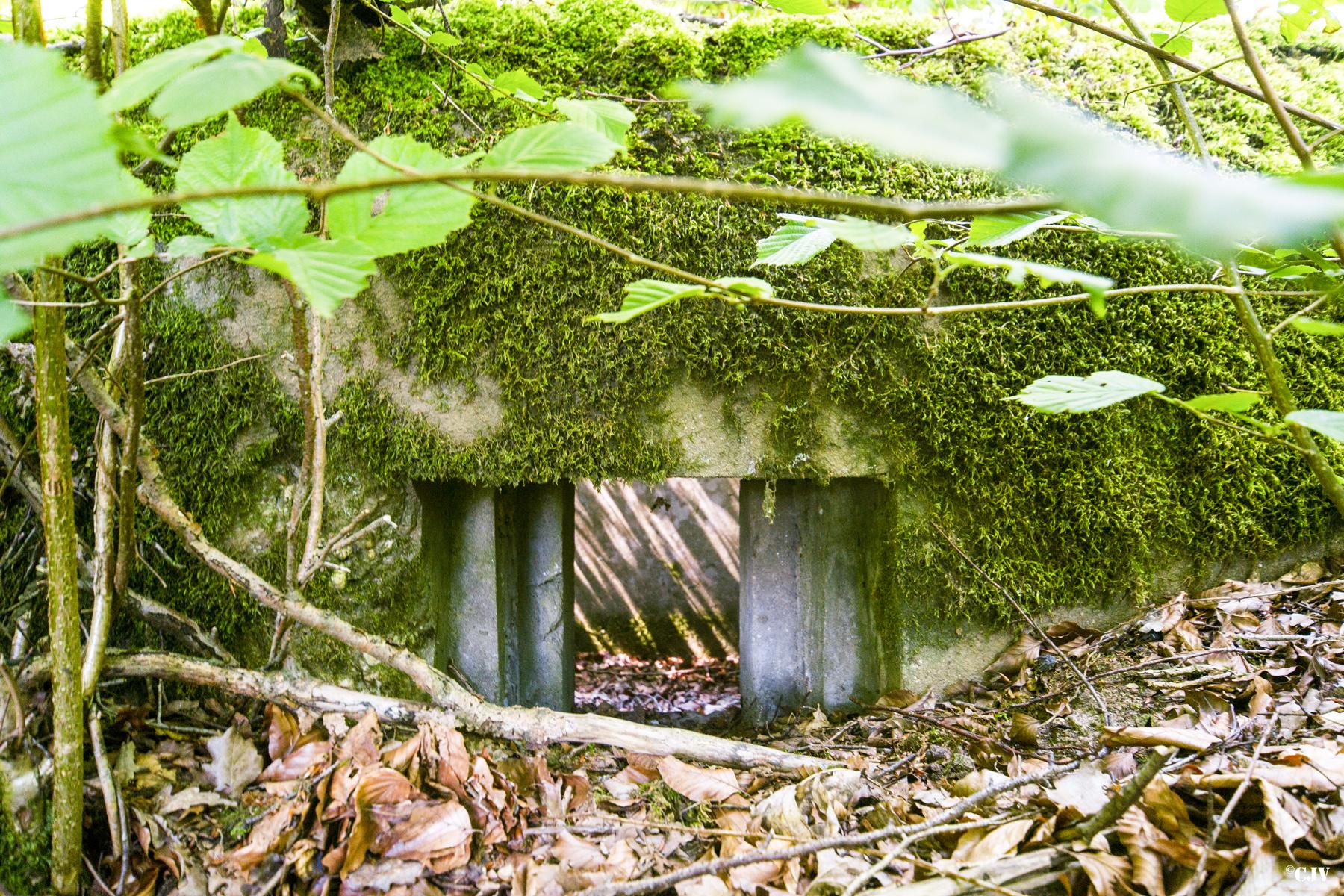 Ligne Maginot - SCHIRMENSTUDEN 6 - (Blockhaus pour arme infanterie) -                            - Lia VERMEULEN