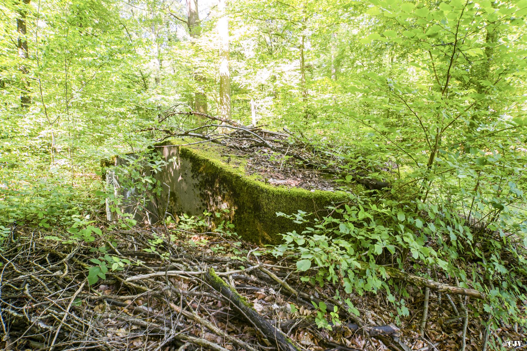 Ligne Maginot - SCHIRMENSTUDEN 6 - (Blockhaus pour arme infanterie) -                           - Lia VERMEULEN