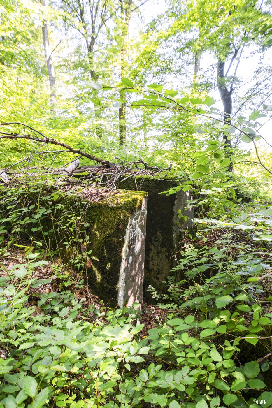 Ligne Maginot - SCHIRMENSTUDEN 6 - (Blockhaus pour arme infanterie) -                             - Lia VERMEULEN