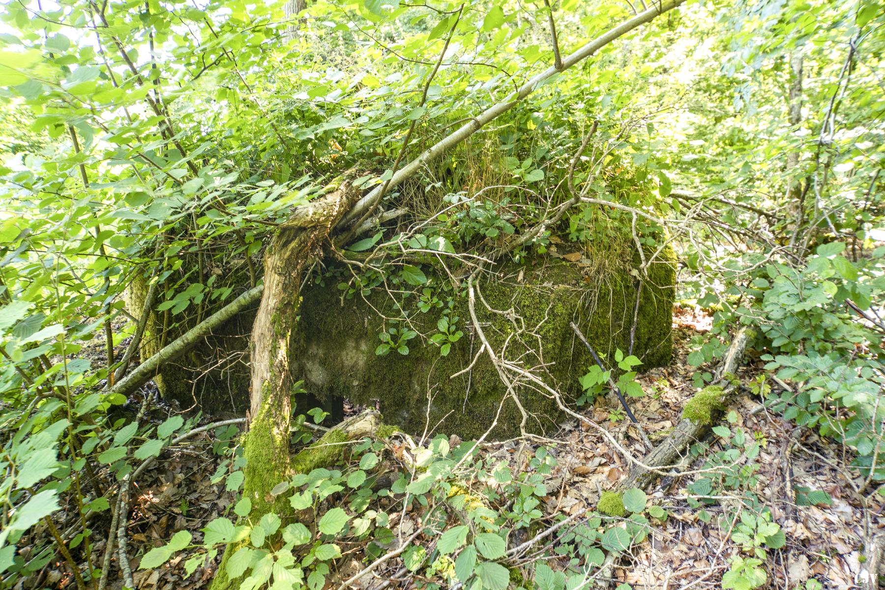Ligne Maginot - SCHIRMENSTUDEN 7 - (Blockhaus pour arme infanterie) -                                - Lia VERMEULEN