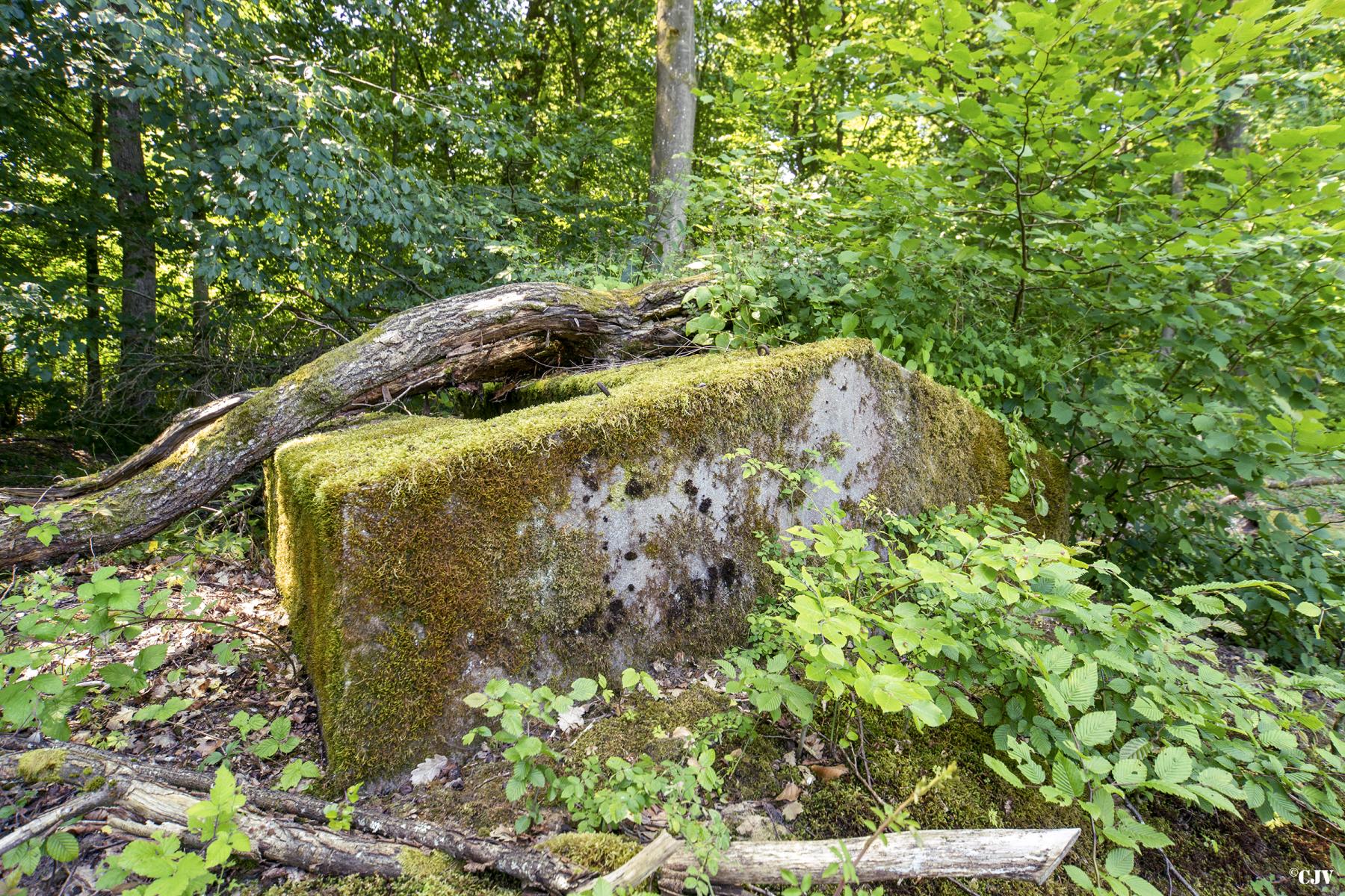 Ligne Maginot - SCHIRMENSTUDEN 7 - (Blockhaus pour arme infanterie) -                               - Lia VERMEULEN