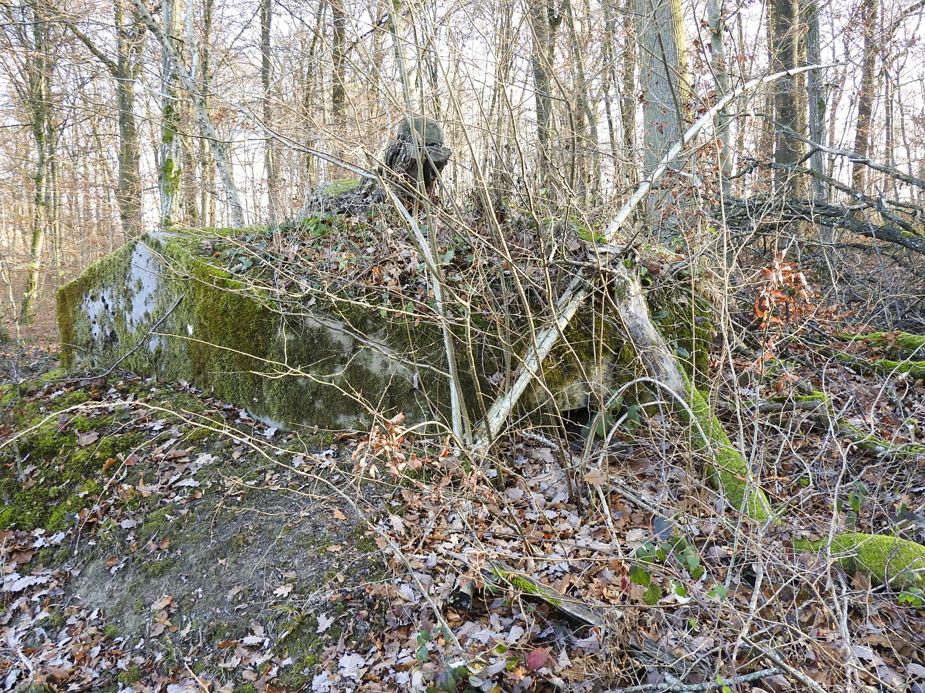 Ligne Maginot - SCHIRMENSTUDEN 7 - (Blockhaus pour arme infanterie) - La façade de tir. - STENGER Mathieu