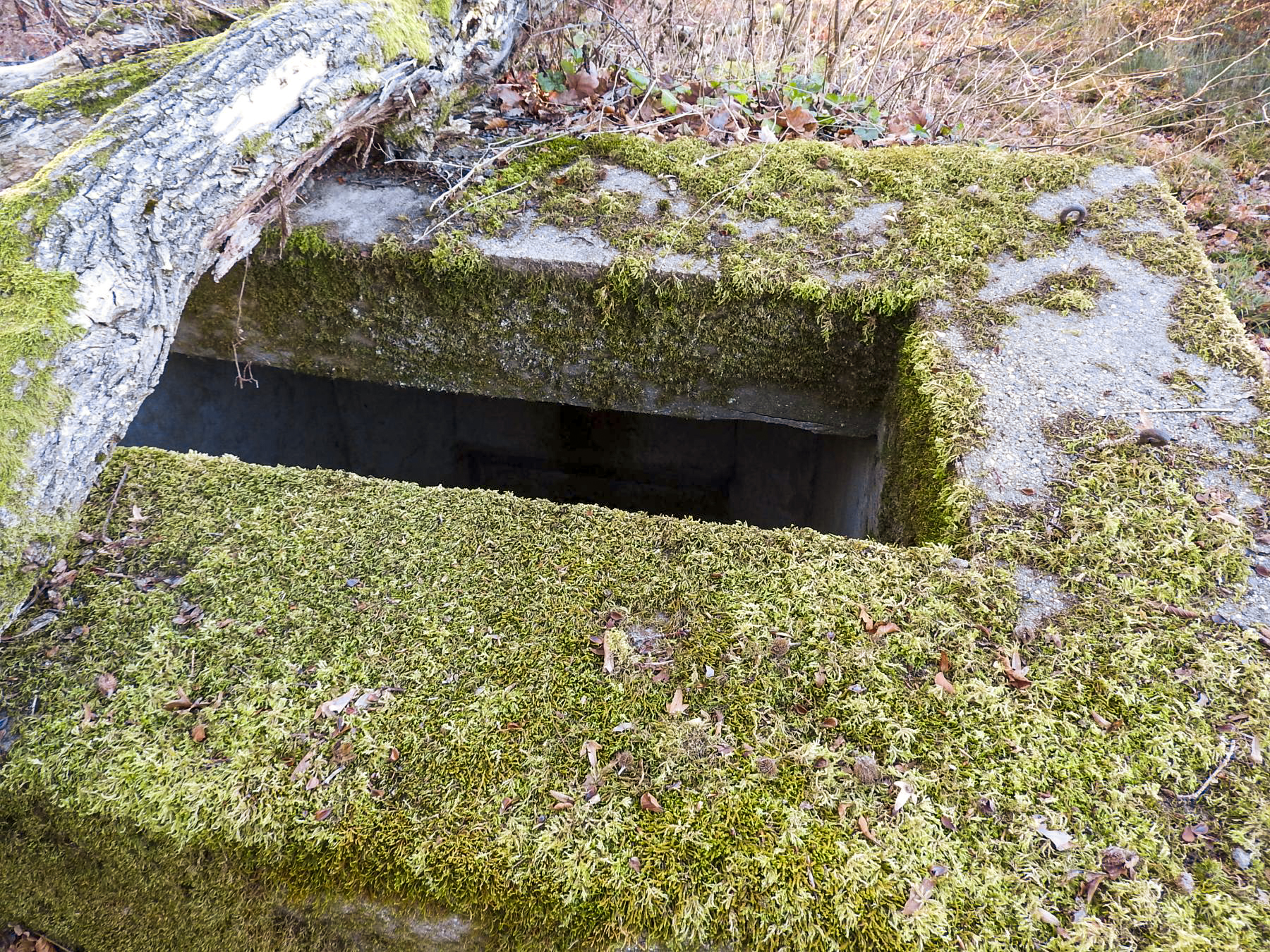 Ligne Maginot - SCHIRMENSTUDEN 7 - (Blockhaus pour arme infanterie) -  - STENGER Mathieu