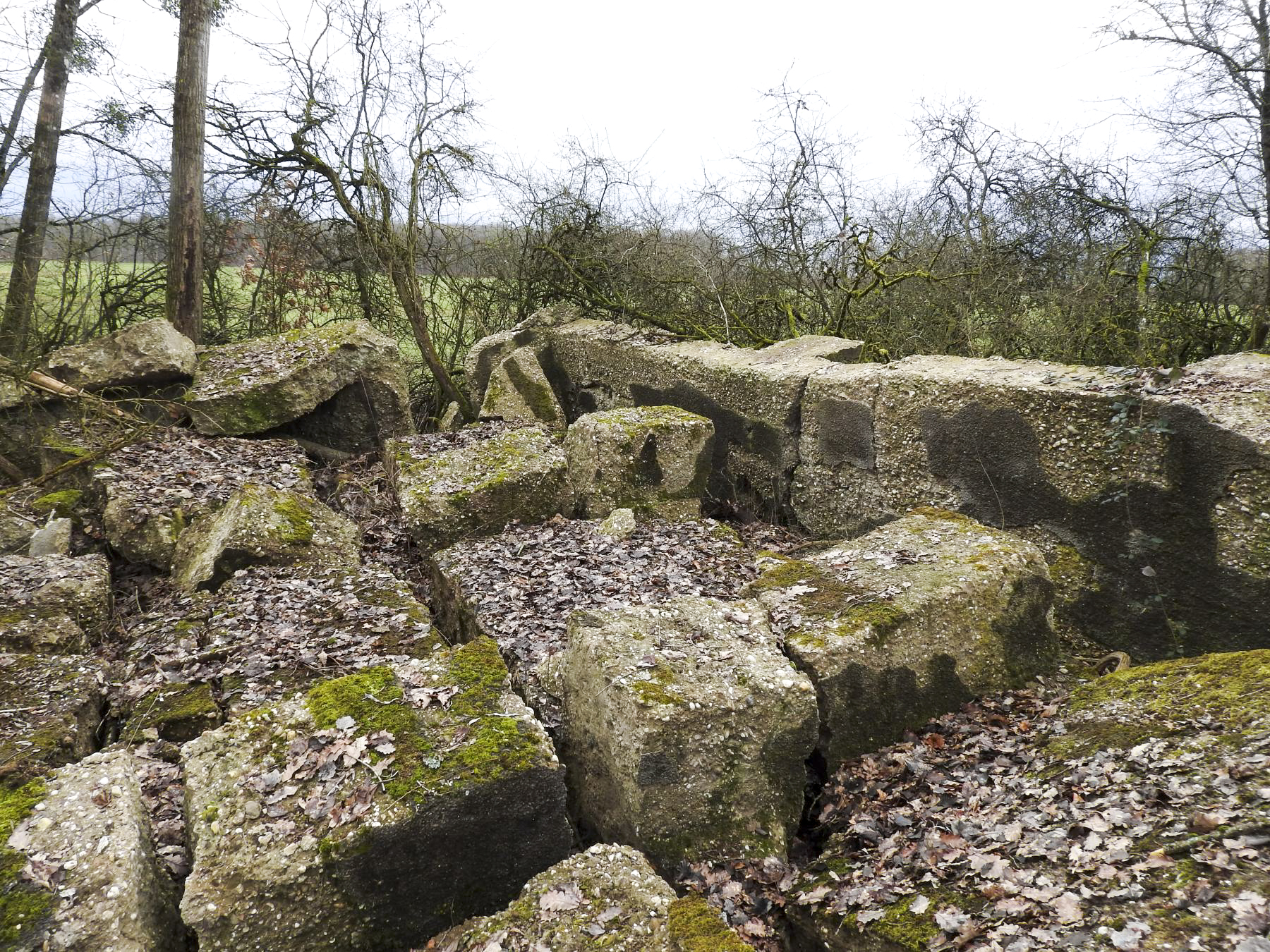Ligne Maginot - LEYVILLER - (Stand de tir) - Le mur de réception des tirs est démantelé. - STENGER Mathieu