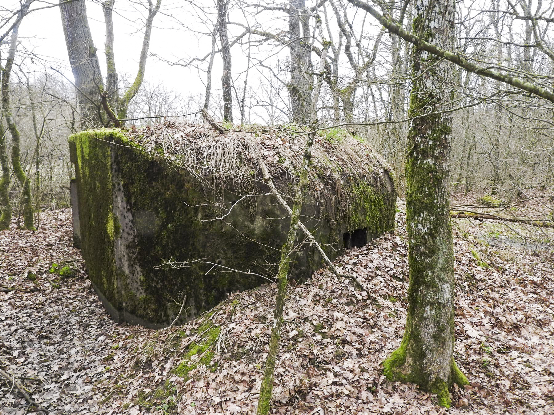 Ligne Maginot - SCHIRMENSTUDEN 10 - (Blockhaus pour arme infanterie) - La façade de tir vers l'Est. - STENGER Mathieu