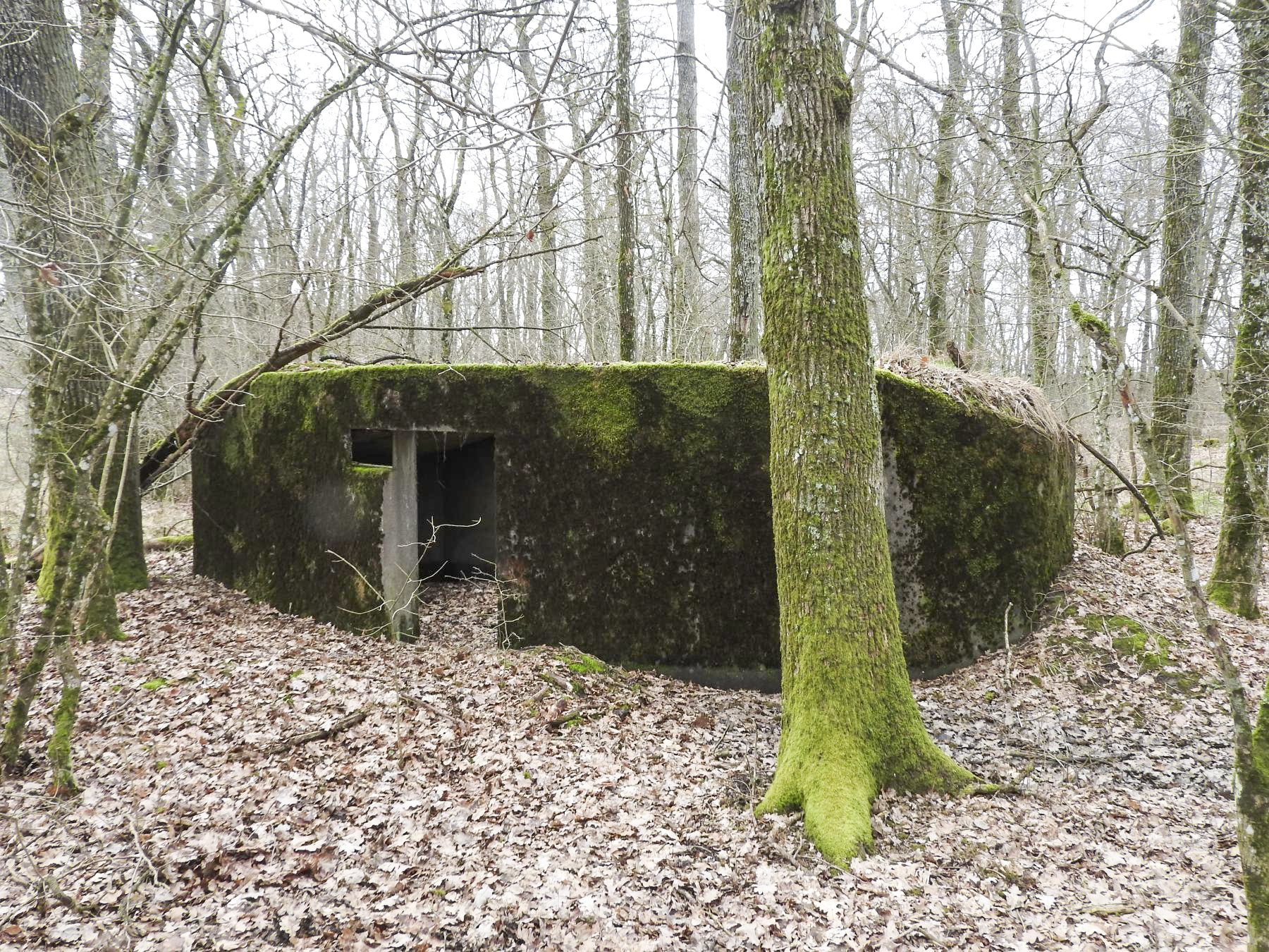Ligne Maginot - SCHIRMENSTUDEN 10 - (Blockhaus pour arme infanterie) - La façade arrière et l'entrée du blockhaus. - STENGER Mathieu