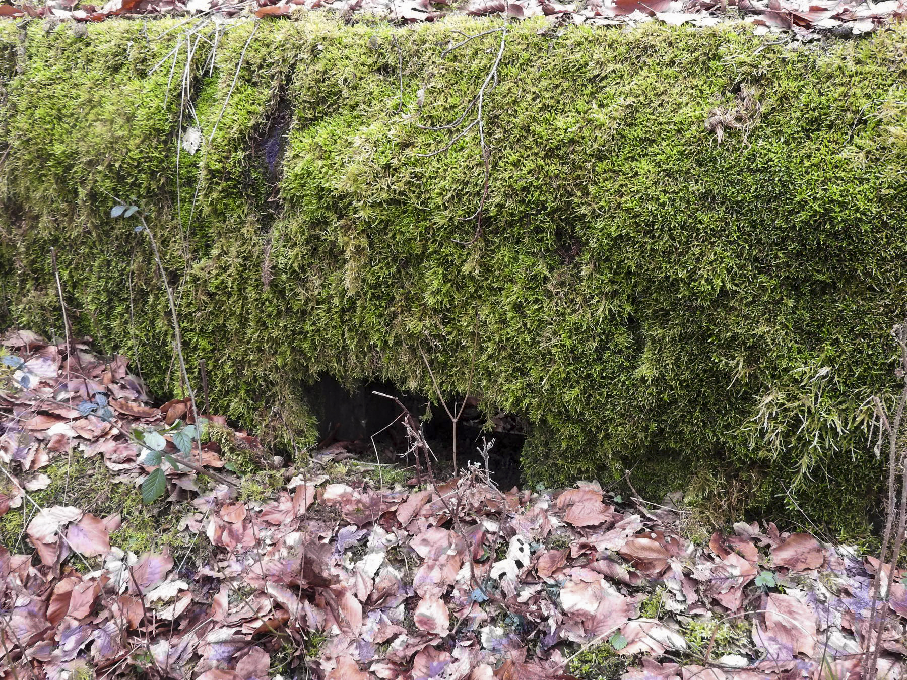 Ligne Maginot - SCHIRMENSTUDEN 11 - (Blockhaus pour arme infanterie) - Le créneau principal pour arme d'infanterie. - STENGER Mathieu