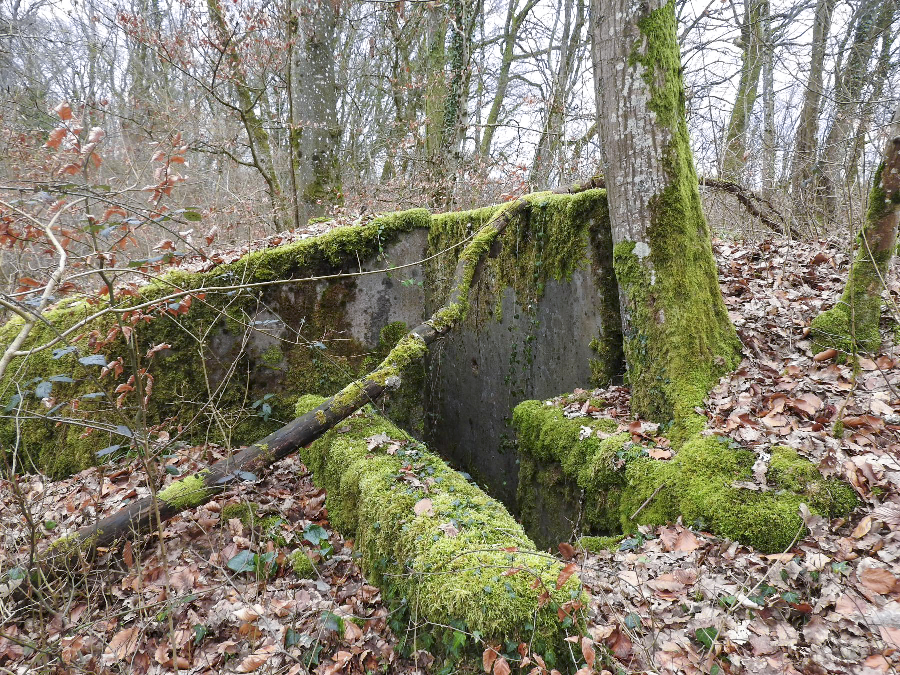 Ligne Maginot - SCHIRMENSTUDEN 11 - (Blockhaus pour arme infanterie) - L'entrée du blockhaus. - STENGER Mathieu