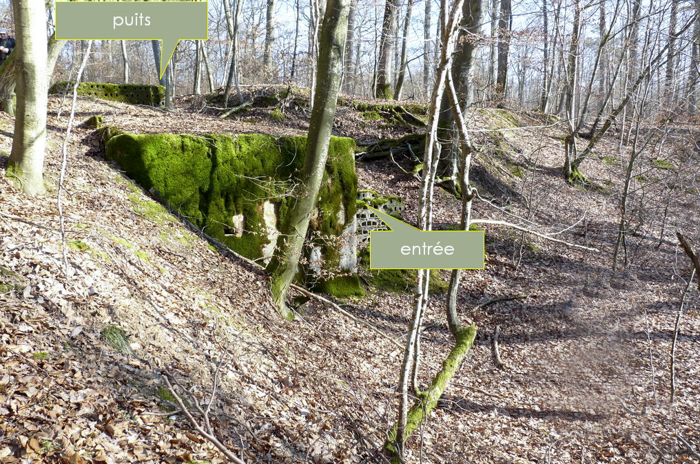 Ligne Maginot - HERBITZHEIM 30 - (Abri) - Au milieu l'entrée, en haut à gauche le puits - Sylvie Laure LAMBERT