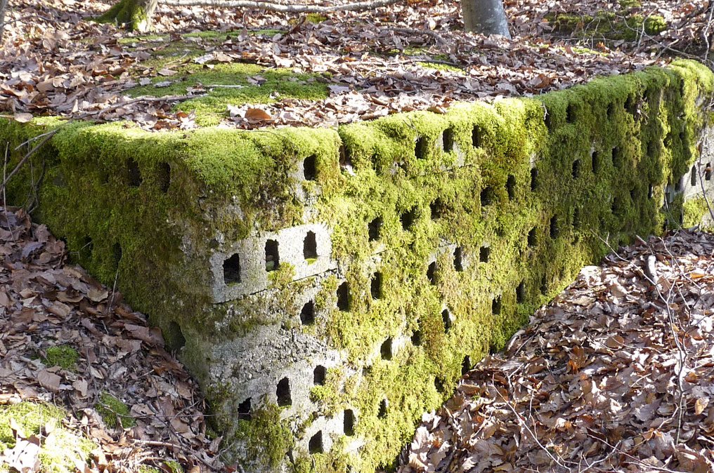 Ligne Maginot - HERBITZHEIM 30 - (Abri) -  - Sylvie Laure LAMBERT