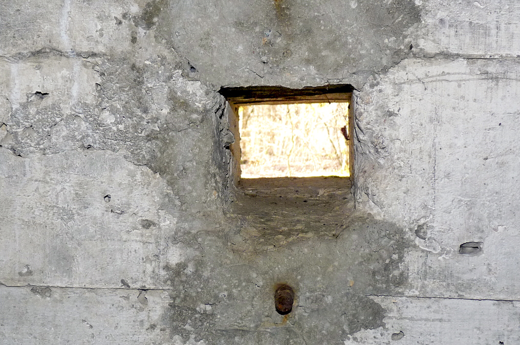 Ligne Maginot - HERBITZHEIM 30 - (Abri) -  - Sylvie Laure LAMBERT