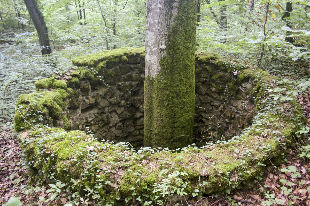 Ligne Maginot - MOLVANGE - A9 - (Ouvrage d'artillerie) - Puits sur le remblai à proximité de l'entrée des munitions. Leur origine et raison reste source de débat ... - Michel Teiten