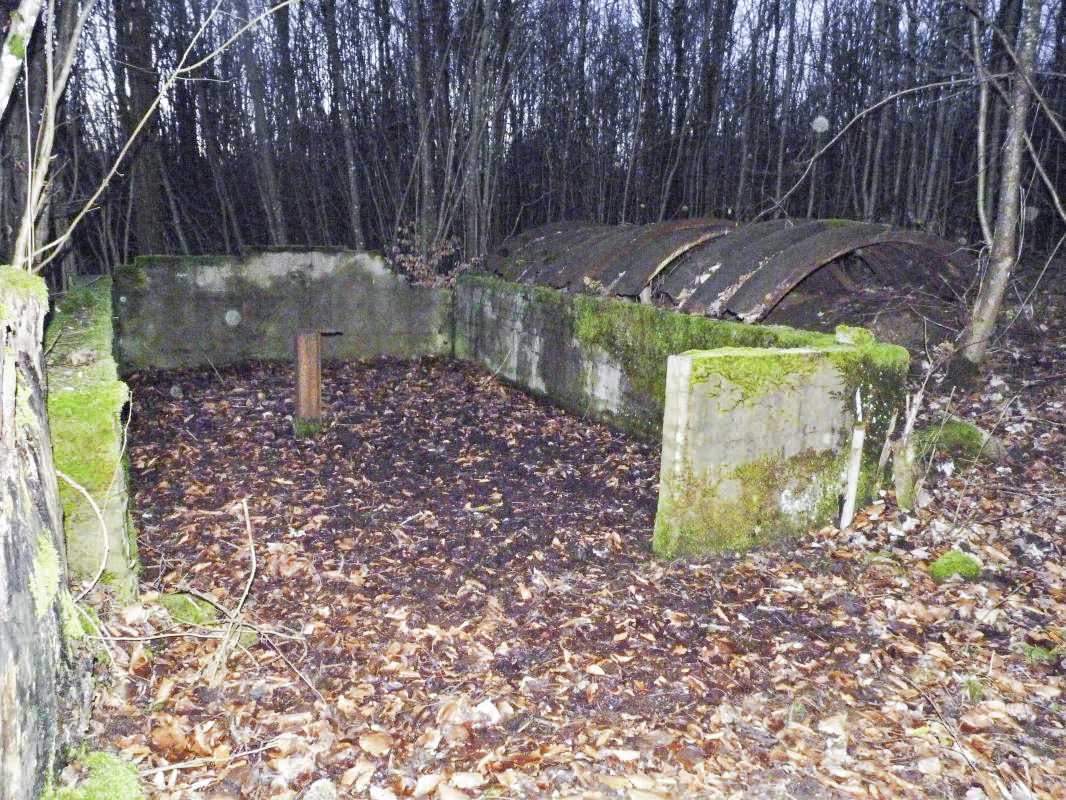 Ligne Maginot - MOLVANGE - A9 - (Ouvrage d'artillerie) - Entrée hommes 
Les restes du casernement extérieur - Aditus