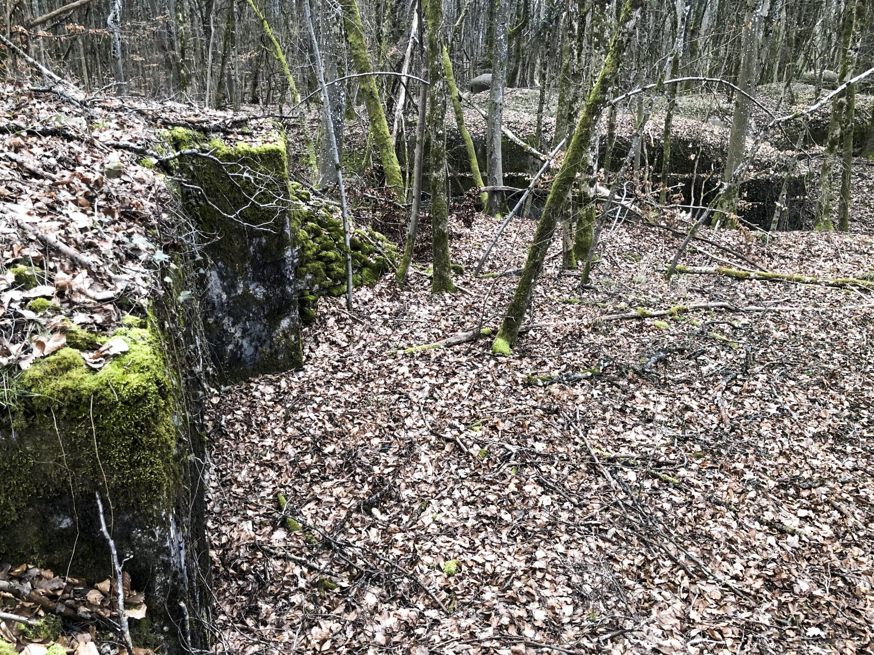 Ligne Maginot - Ab38 - BOIS de LAUDREFANG 6 (Blockhaus pour canon) - Au premier plan à gauche, le blockhaus. En arrière plan, la casemate BOIS de LAUDREFANG Sud - Claude Zimmermann 