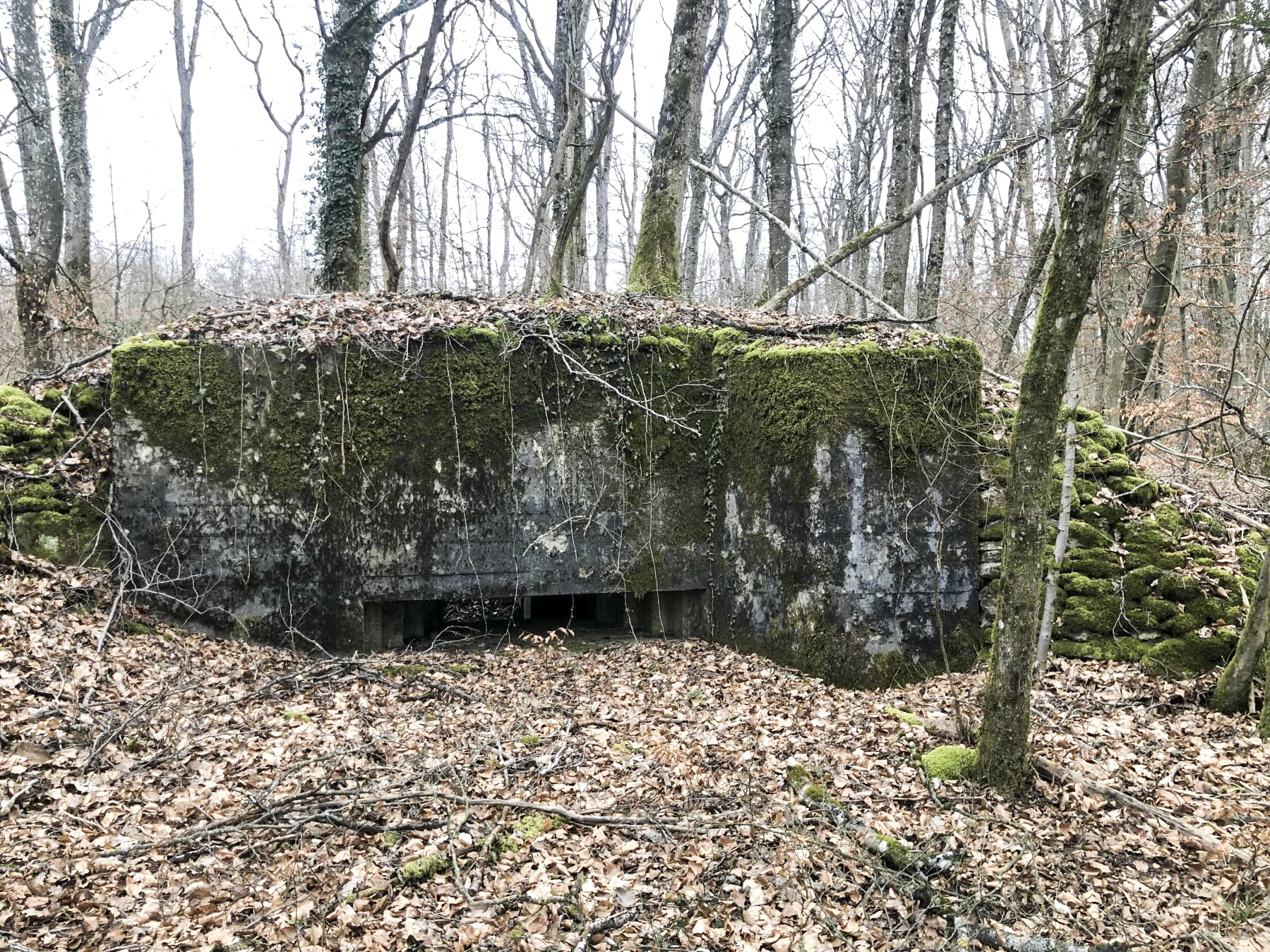 Ligne Maginot - Ab38 - BOIS de LAUDREFANG 6 (Blockhaus pour canon) -  - Claude Zimmermann 
