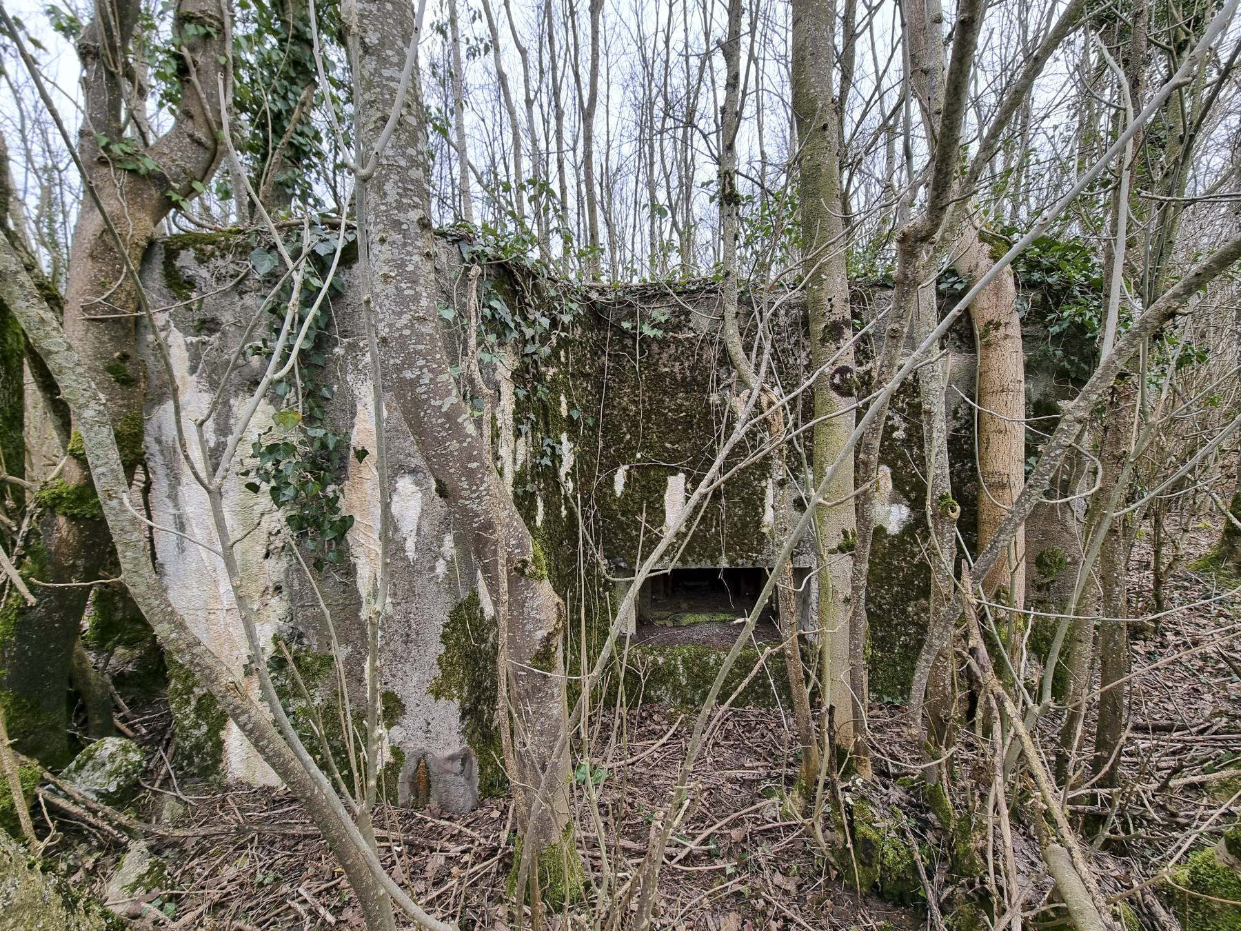 Ligne Maginot - BOIS DE PONTPIERRE NORD - (Blockhaus pour arme infanterie) - Façade de tir avec le créneau  - DK_Antoine4