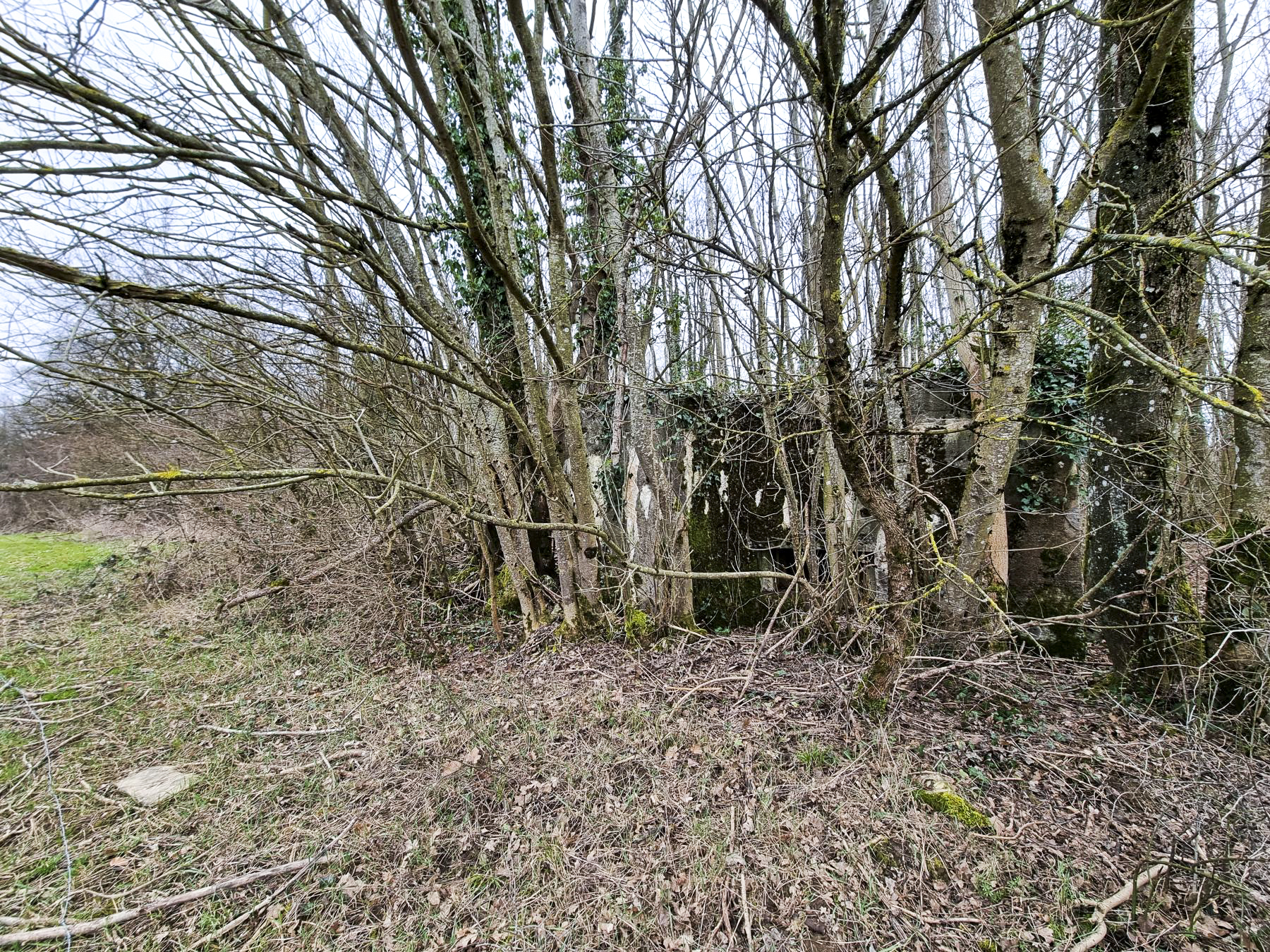 Ligne Maginot - BOIS DE PONTPIERRE NORD - (Blockhaus pour arme infanterie) - Vue d'ensemble de la façade de tir du blockhaus depuis les champs. - DK_Antoine4