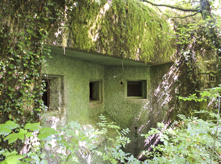 Ligne Maginot - ECOUVIEZ EST - (Casemate d'infanterie - Simple) -  - Jean-Michel Jolas