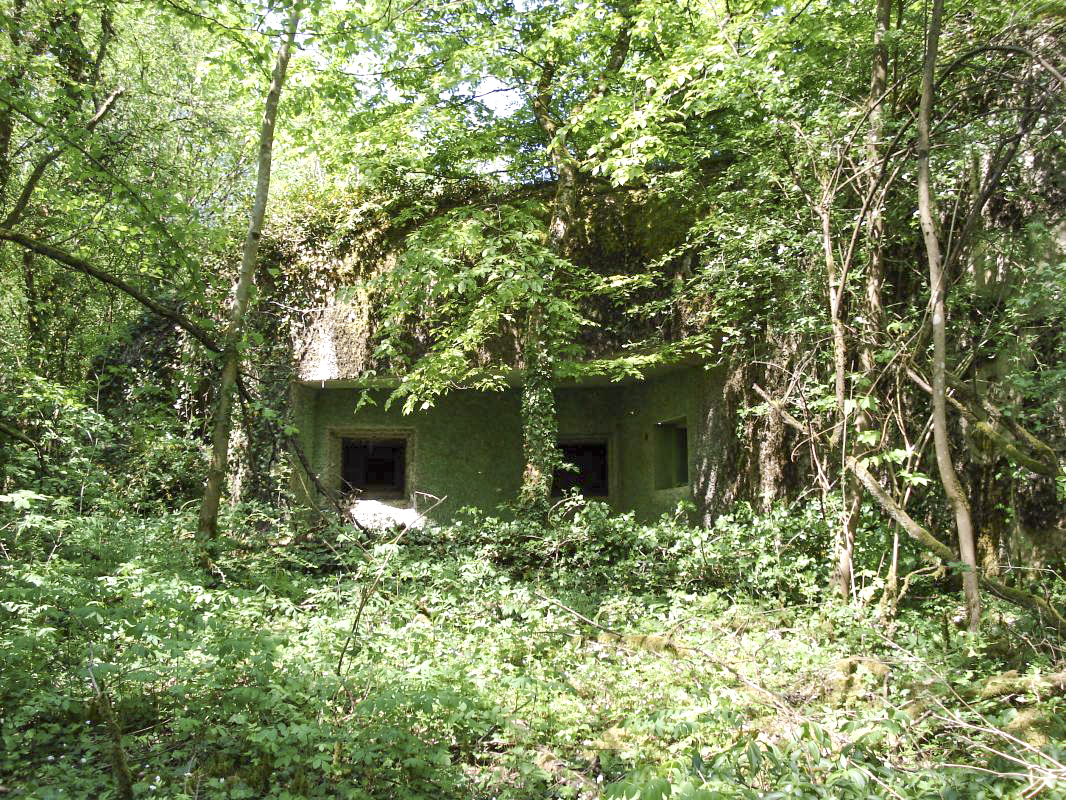 Ligne Maginot - ECOUVIEZ EST - (Casemate d'infanterie - Simple) - Les créneaux - R Tucker
