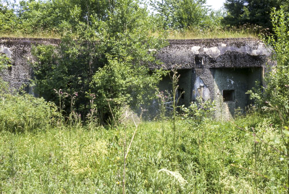 Ligne Maginot - ECOUVIEZ OUEST - (Casemate d'infanterie - Simple) - Noter le tracé pseudo bastionné du front de gorge. - Jean-Michel Jolas