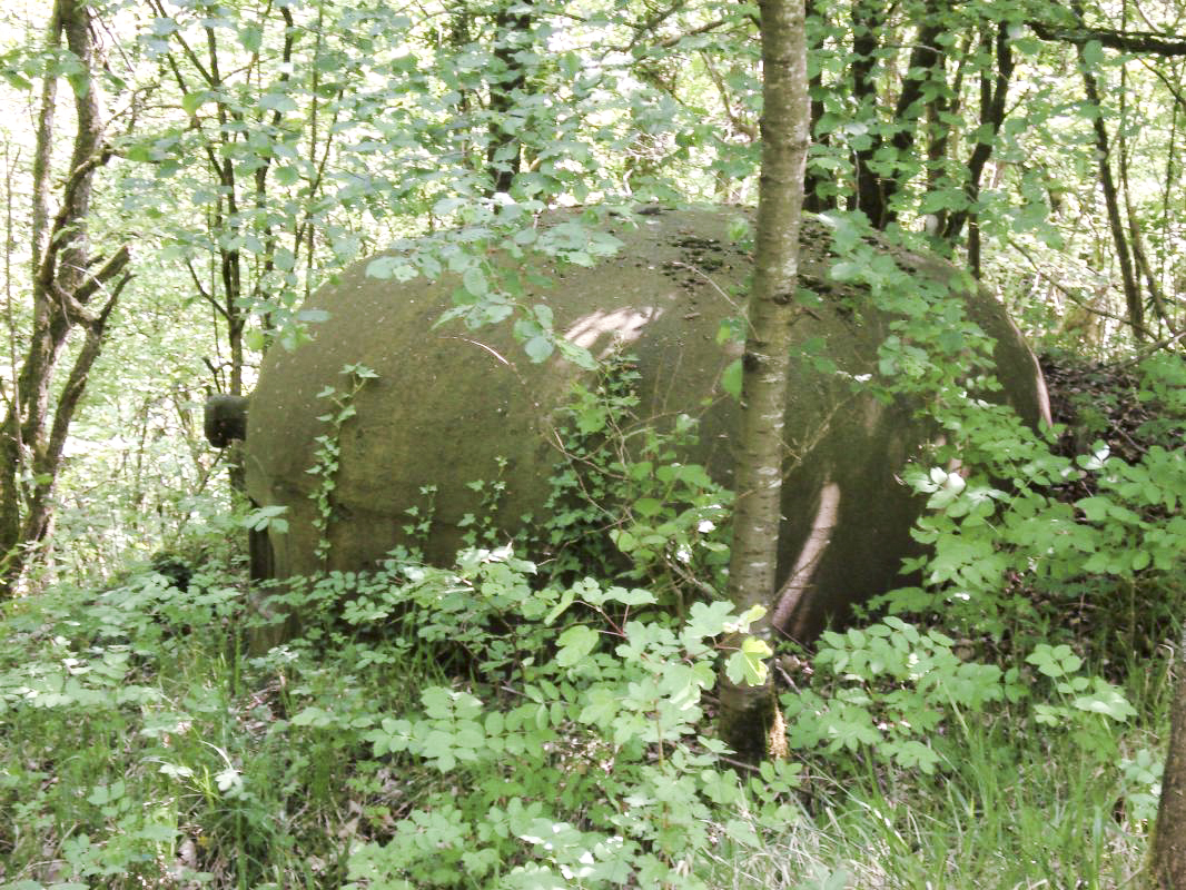 Ligne Maginot - ECOUVIEZ OUEST - (Casemate d'infanterie - Simple) - Cloche AM - R Tucker