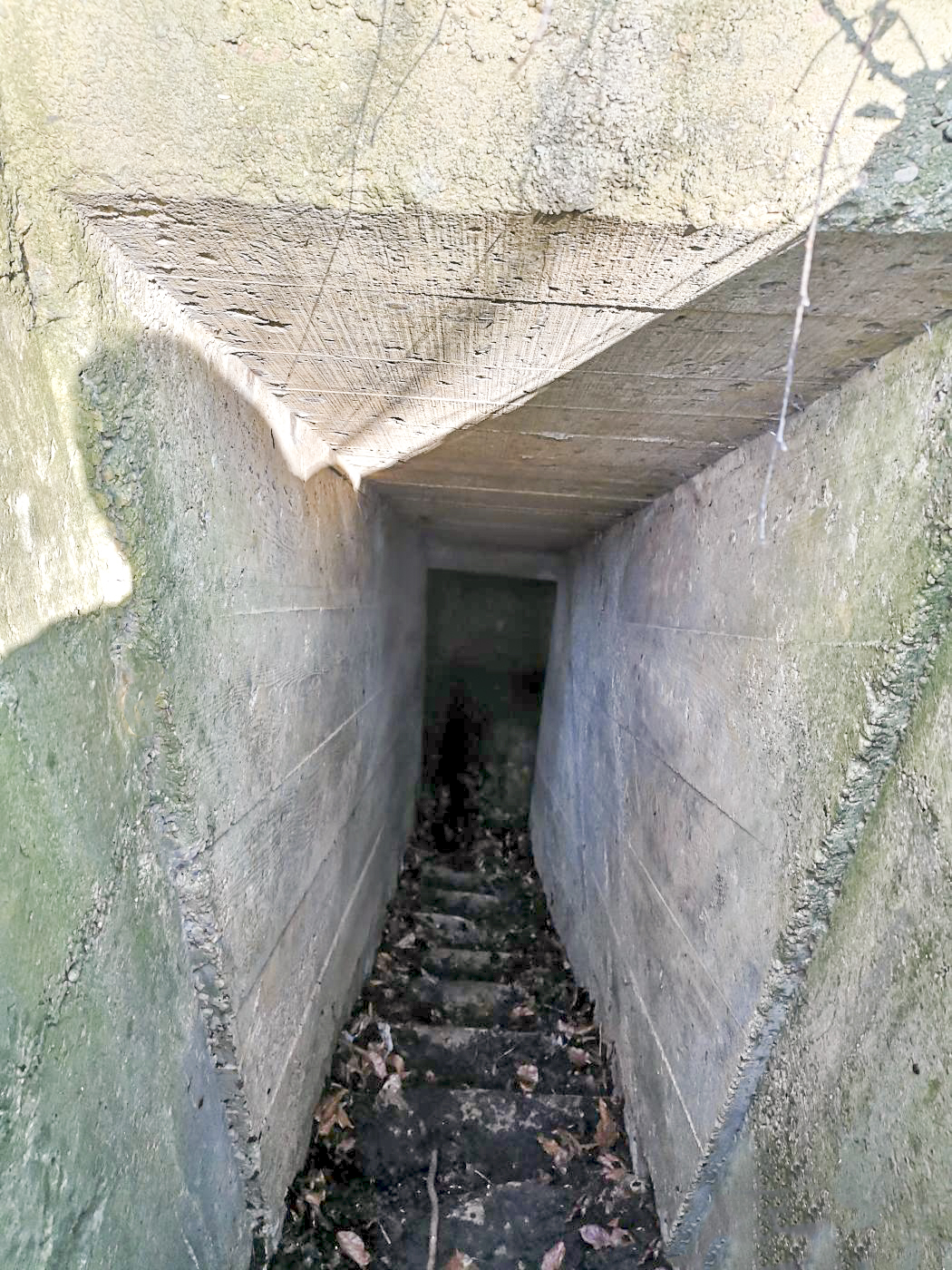 Ligne Maginot - LE SART - (PC de Quartier) - Entrée de gauche - beb08