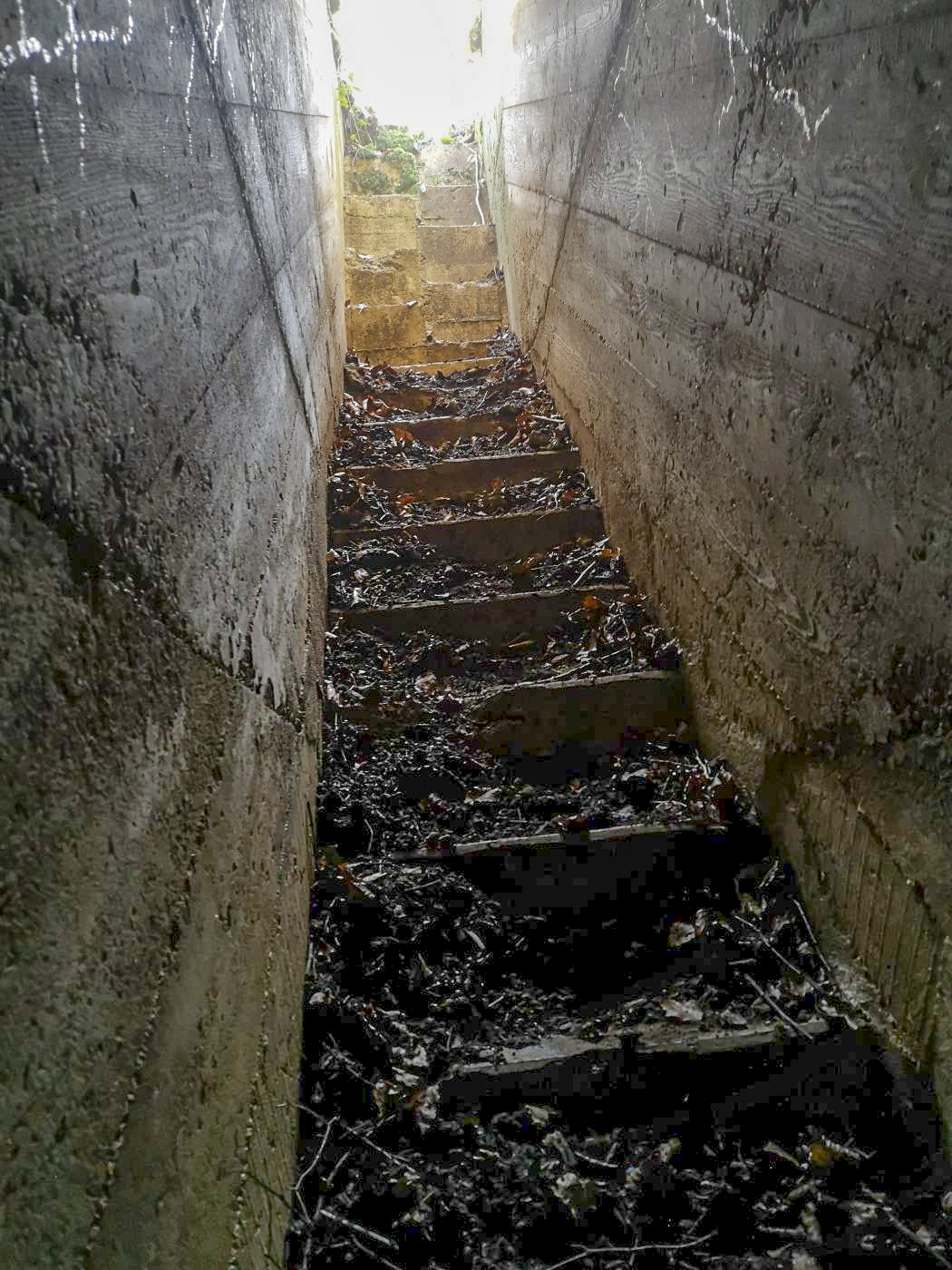 Ligne Maginot - LE SART - (PC de Quartier) - Entrée de gauche vue de l'intérieur - beb08