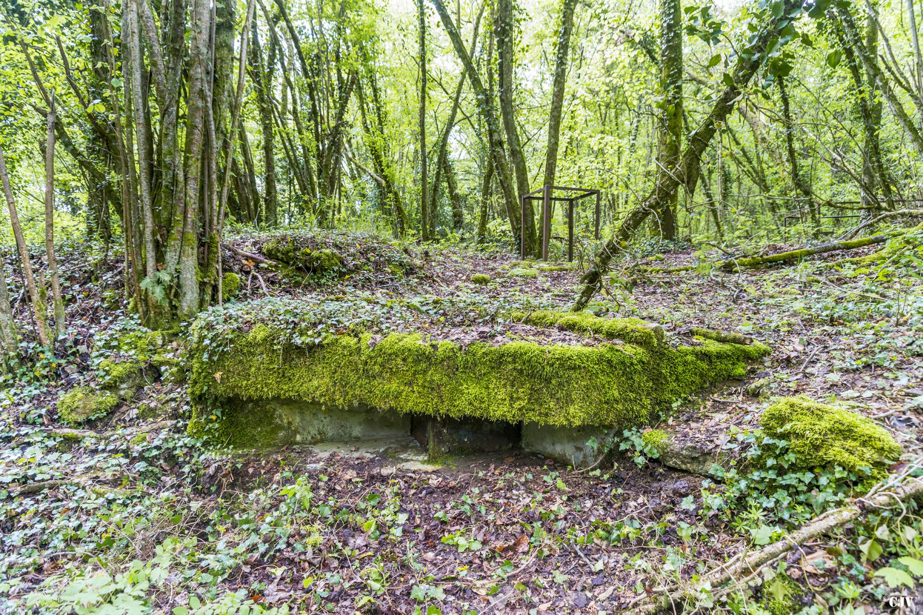 Ligne Maginot - LA RAMONETTE - (Observatoire d'infanterie) -  - Lia VERMEULEN