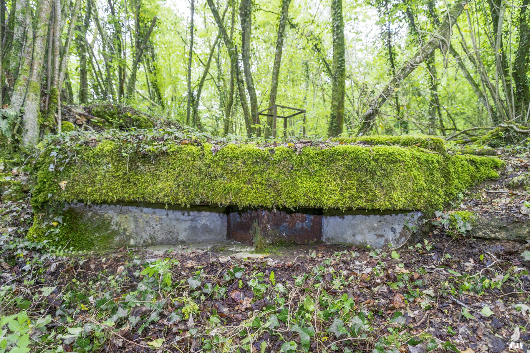 Ligne Maginot - LA RAMONETTE - (Observatoire d'infanterie) -  - Lia VERMEULEN