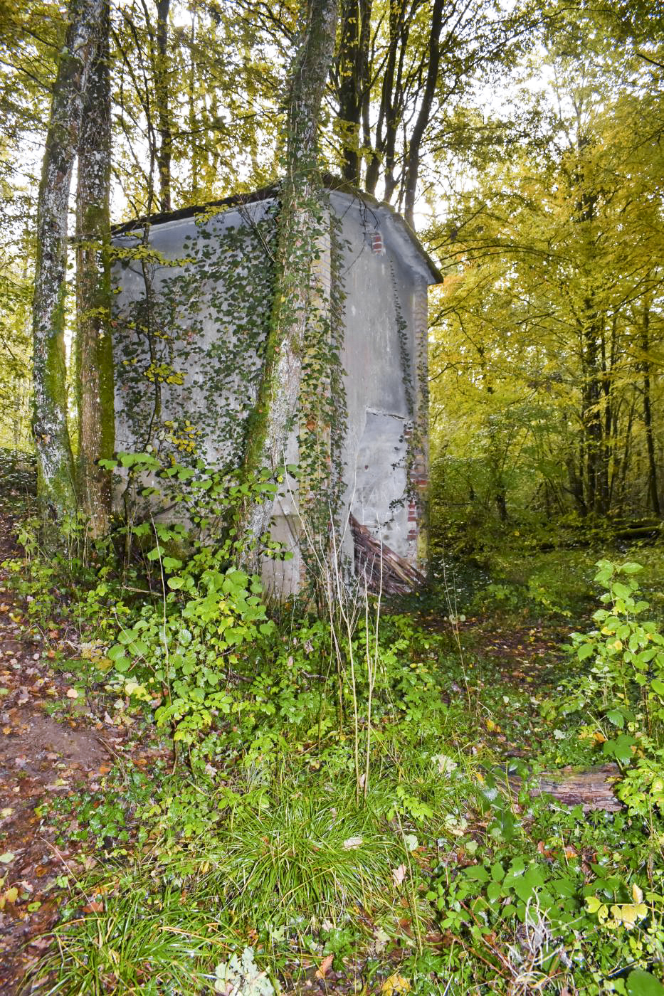 Ligne Maginot - LE CHESNOIS - CHENOIS - (Ouvrage d'artillerie) - Poste arrivée réseau électrique civil - D.Froehly