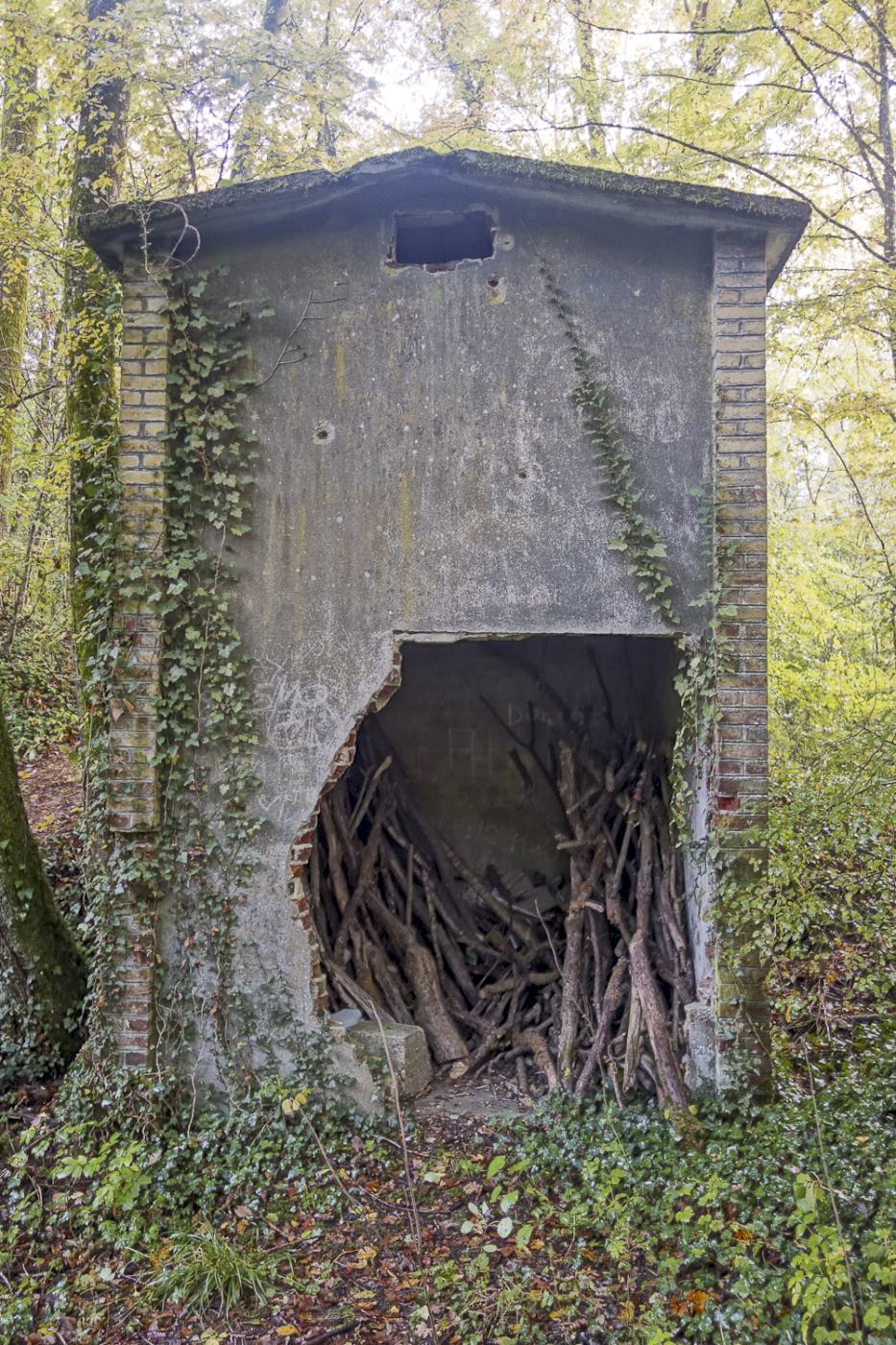 Ligne Maginot - LE CHESNOIS - CHENOIS - (Ouvrage d'artillerie) - Poste arrivée réseau électrique civil - Michel Teiten