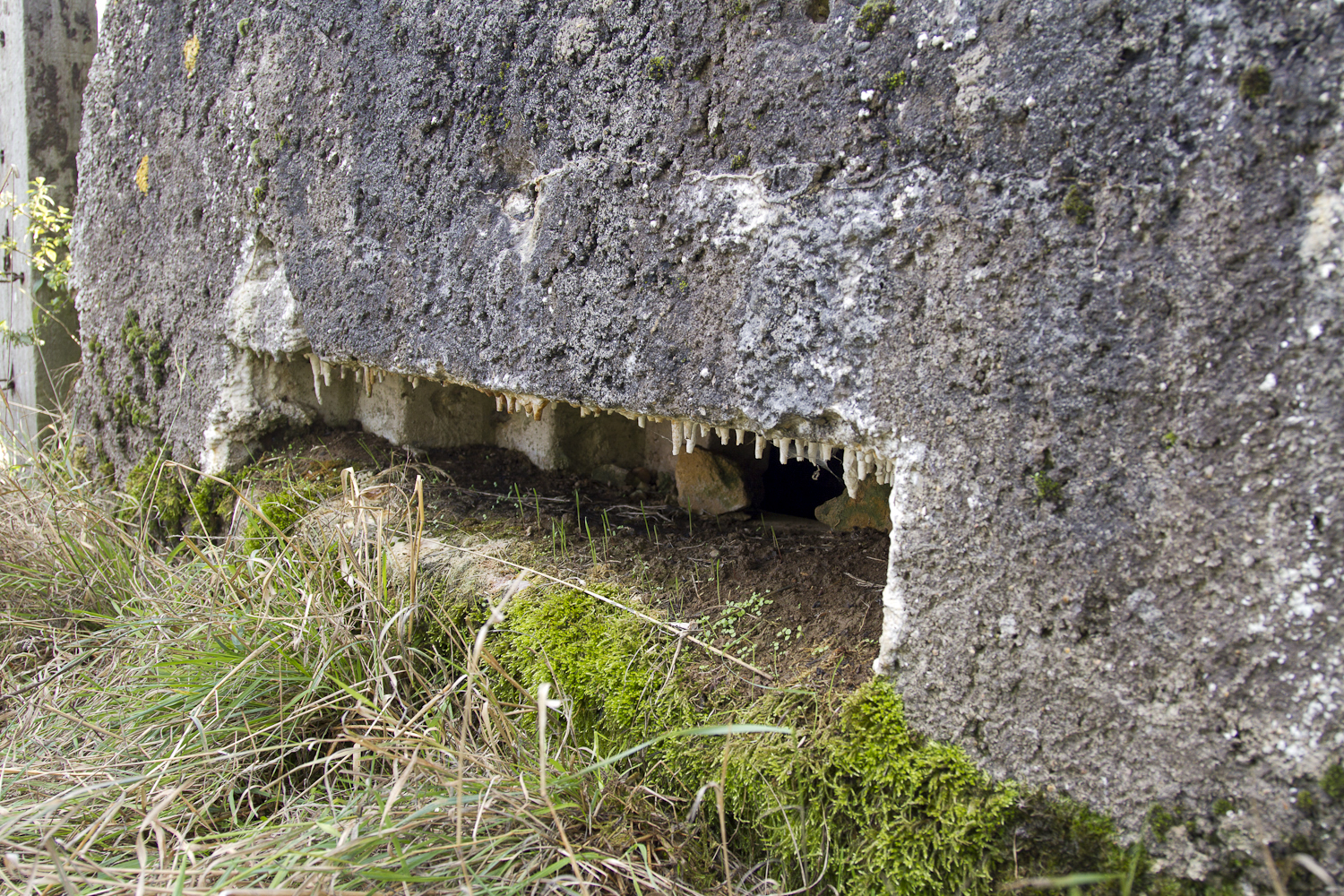 Ligne Maginot - LE CUGNET - (Blockhaus pour arme infanterie) - Gros plan du créneau - Michel Teiten