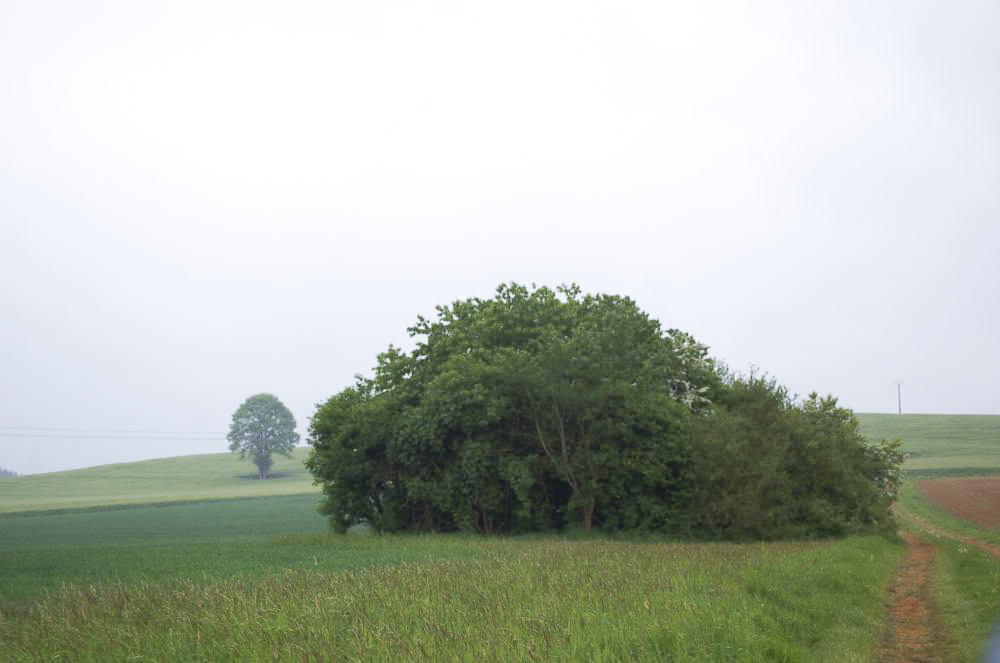 Ligne Maginot - LE GOUTY - (Blockhaus pour canon) - Un bouquet d'arbres en plein champ...C'est l'ouvrage... - Christian RICHON/devoitine520