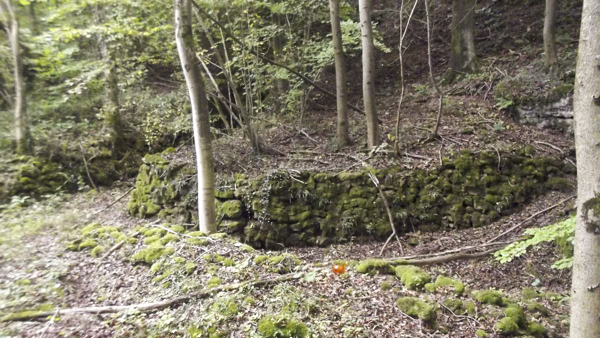 Ligne Maginot - LES FOLIES (IIE BON / 155° RIF) - (PC de Quartier) - Vue reculée du chemin d'accès au deux entrées, à gauche la chambre de coupure, à droite le PC du II /155° RIF - David HARMAND