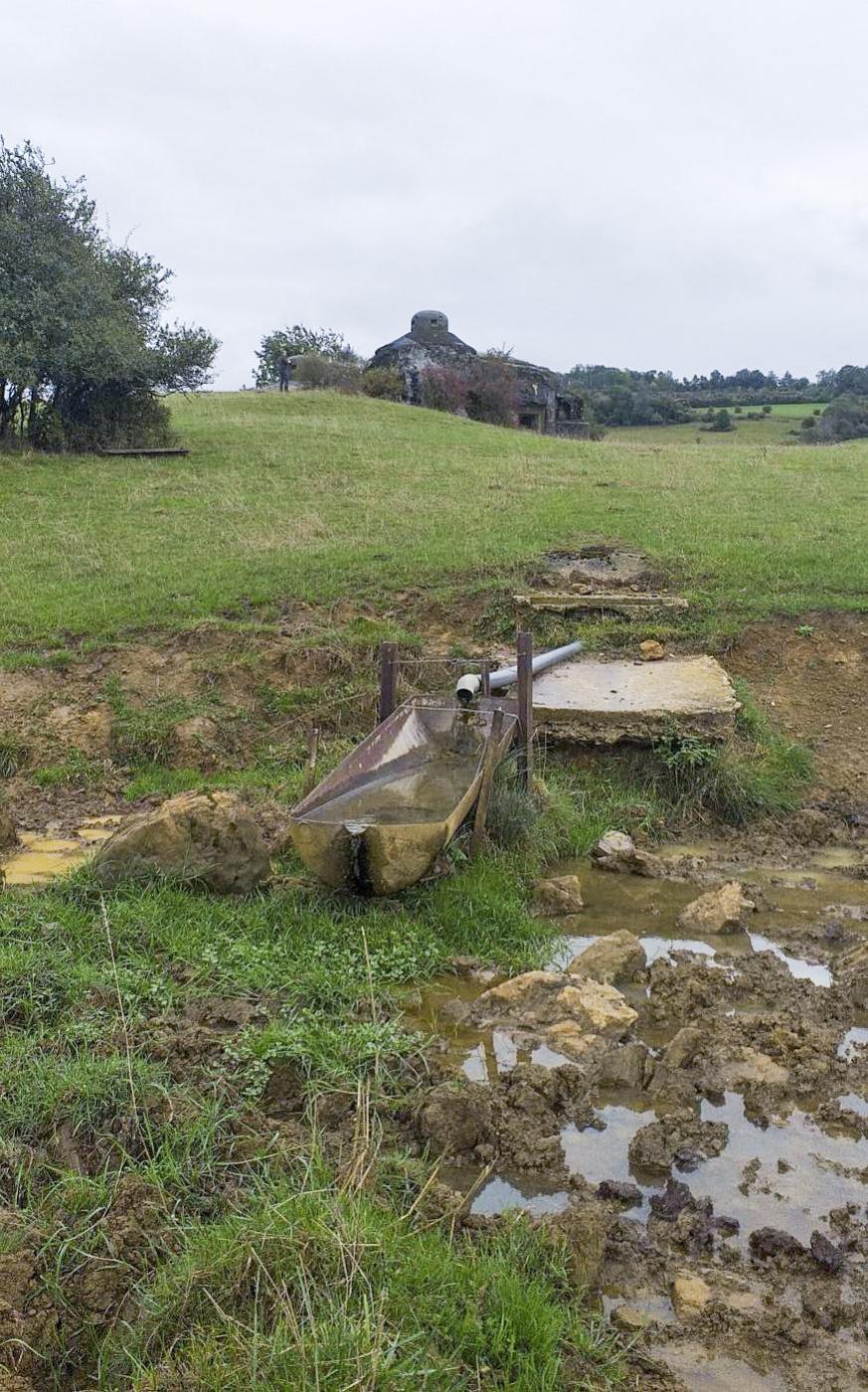 Ligne Maginot - MARGUT - (Casemate d'infanterie - Simple) - Débouché de l'égout...servant aujourd'hui d'abreuvoir - Gregory Fuchs