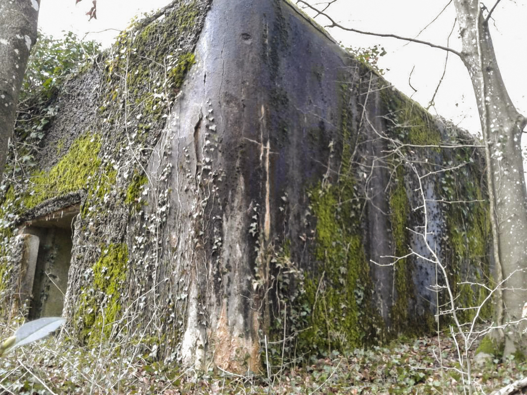 Ligne Maginot - MONTZECHANNE - (Blockhaus pour canon) - Vue de la face Est, non enduite - Fabrice THOMASSIN